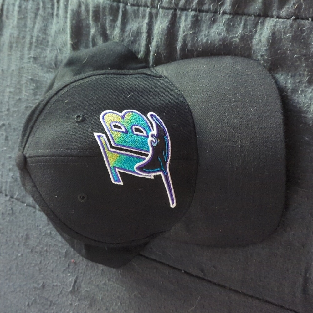 TAMPA BAY DEVIL RAYS.